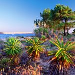 photo du bassin d’arcachon de stephane scotto