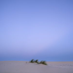 photo du bassin d’arcachon de stephane scotto