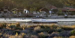 photo du bassin d’arcachon de stephane scotto