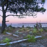 photo du bassin d’arcachon de stephane scotto