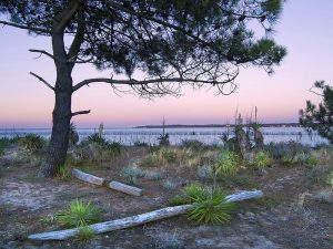 photo du bassin d’arcachon de stephane scotto
