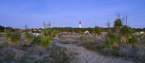 photo du bassin d’arcachon de stephane scotto