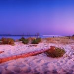 photo du bassin d’arcachon de stephane scotto