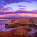photo de Cape Cod par Stéphane Scotto photographe