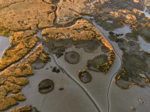 photo aerienne du bassin d’arcachon de stephane scotto