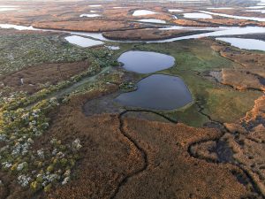 photo aerienne du bassin d’arcachon de stephane scotto
