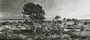 conche du mimbeau au cap ferret