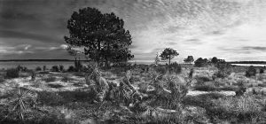 photo du bassin d’arcachon de stephane scotto