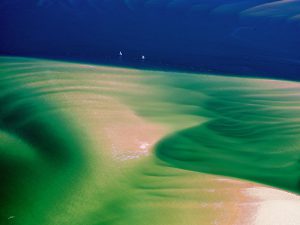 vue aérienne du Bassin d'Arcachon par le photographe Stéphane Scotto