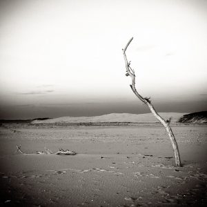 Photographie noir et banc du banc d'Arguin et de la dune du Pilat par le photographe du Bassin d'Arcachon Stéphane Scotto