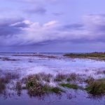 photo du bassin d’arcachon de stephane scotto