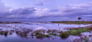 sur le sentier du littoral du Bassin d'Arcachon vers le port de Meyran