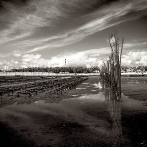 Les parcs ostréicoles du Mimbeau au Cap Ferret photo noir et blanc par le photographe du Bassin Stéphane Scotto