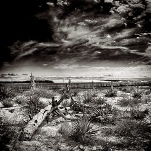 photo du bassin d’arcachon de stephane scotto