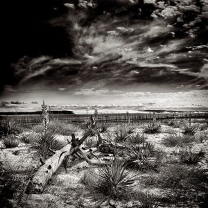 Photo noir et blanc de la conche du Mimbeau au Cpa Ferret par le photographe du Bassin d'Arcachon Stéphane Scotto