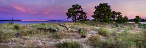 vue de la Dune du Pilat depuis la Conche du Mimbeau au Cap Ferret au moment de l'heure bleue