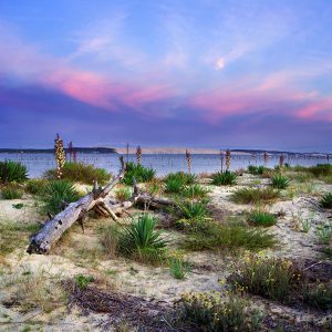 La conche du Mimbeau au coucher du soleil aux lumières de l'automne par le photographe du Bassin d'Arcachon Stéphane Scotto