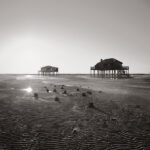 photo historique des deux cabanes tchanquées originelles