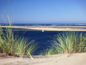 photo du bassin d’arcachon de stephane scotto