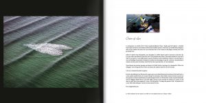 Une autre planète livre bassin d'arcachon