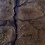 Vase à marée basse