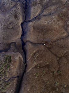 Vase à marée basse