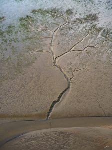 vue aérienne du fond du Bassin à marée basse.