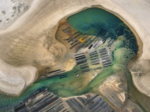 Bassin d'Arcachon Stéphane Scotto photographe