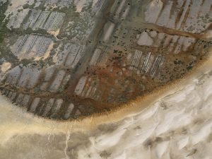 photo du bassin d’arcachon de stephane scotto