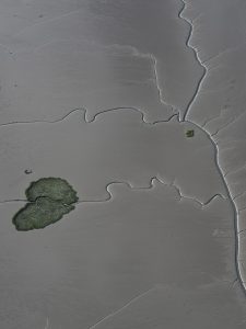 photo du bassin d’arcachon de stephane scotto