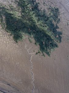 photo aerienne du bassin d’arcachon de stephane scotto