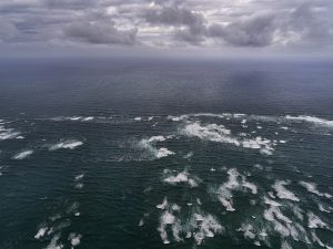 photo du bassin d’arcachon de stephane scotto