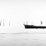 photo du bassin d’arcachon de stephane scotto