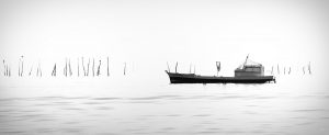 photo du bassin d’arcachon de stephane scotto