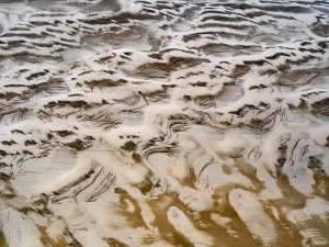 photo du bassin d’arcachon de stephane scotto