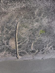 photo du bassin d’arcachon de stephane scotto