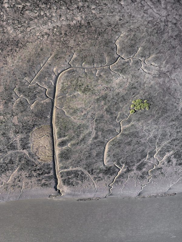 photo du bassin d’arcachon de stephane scotto