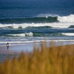 surfeur dans les Landes