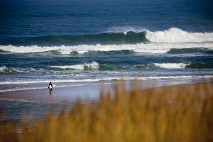 surfeur dans les Landes