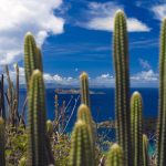 St Barth