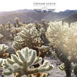 Joshua Tree California