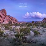 Joshua Tree California