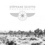 Joshua Tree California