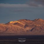 Photo de Joshua Tree par Stéphane Scotto photographe