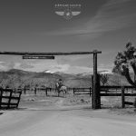 Joshua Tree photograph