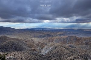 Joshua Tree California