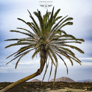photo de Lanzarote par le photographe Stéphane Scotto