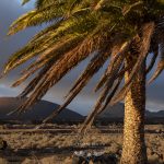 photo de Lanzarote par le photographe Stéphane Scotto