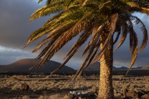 photo de Lanzarote par le photographe Stéphane Scotto