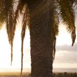 photo de Lanzarote par le photographe Stéphane Scotto